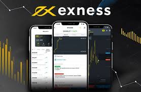 Unlocking Your Trading Potential Exness Educational Resources