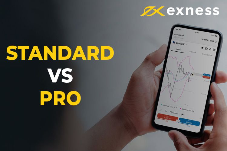 Comprehensive Exness Information for Aspiring Traders Comprehensive Exness Information for Aspiring Traders