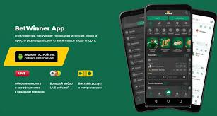 Betwinner Bangladesh Your Ultimate Online Betting Experience