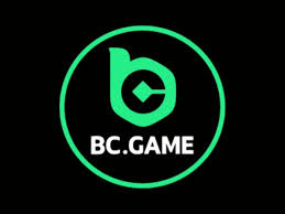 Comprehensive Overview of BC.Game India's Privacy Policy