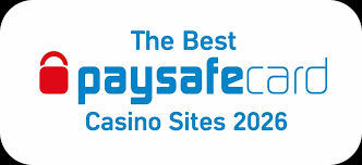 Online Casino med Paysafe Sikkerhed og Bekvemmelighed 314423004