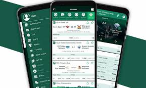 Explore BetWinner Online Casino and Sportsbook A Gamer's Paradise