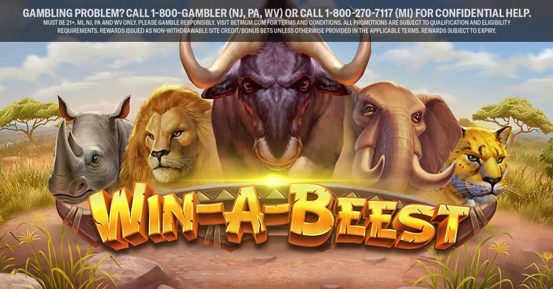 Explore winbeast casino